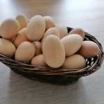 Vajíčko drevené so stojanom
